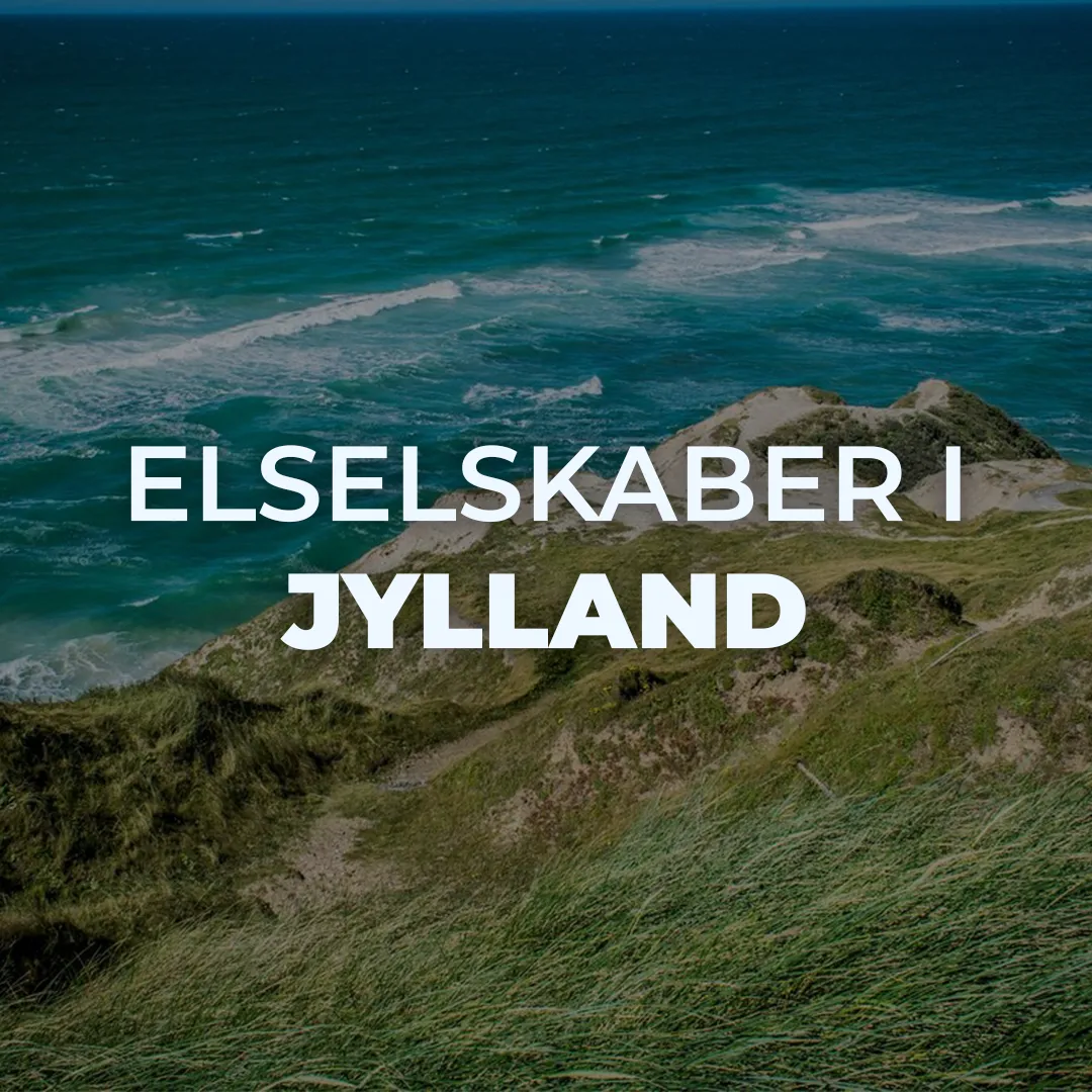 Elselskaber i jylland