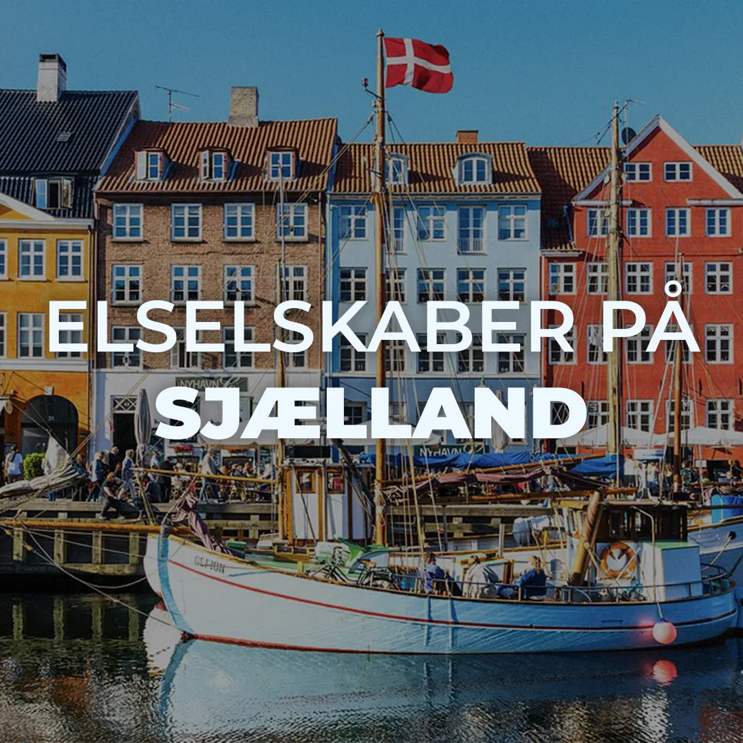 Elselskaber på sjælland