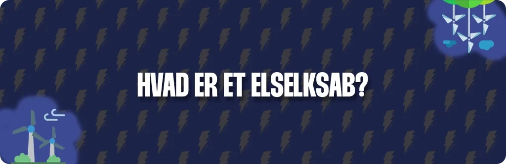 Hvad er et elselskab?