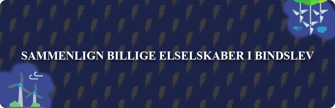 Sammenligning af top 5 billigste elselskaber i Bindslev