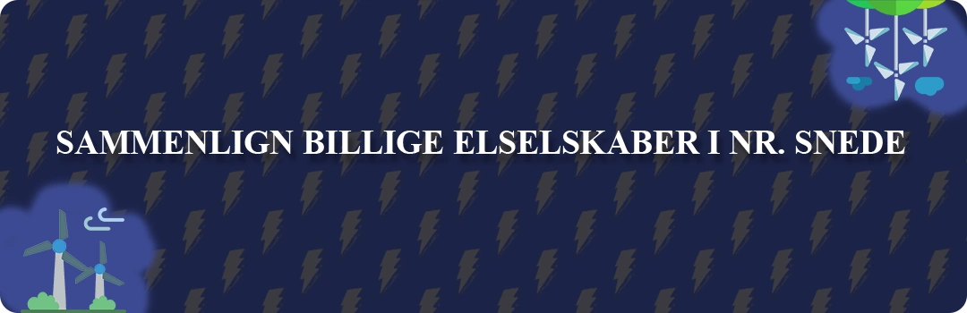 Sammenligning af top 5 billigste elselskaber i Nr. Snede