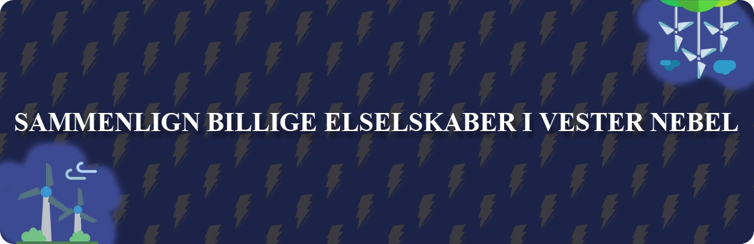 Sammenligning af top 5 billigste elselskaber i Vester Nebel