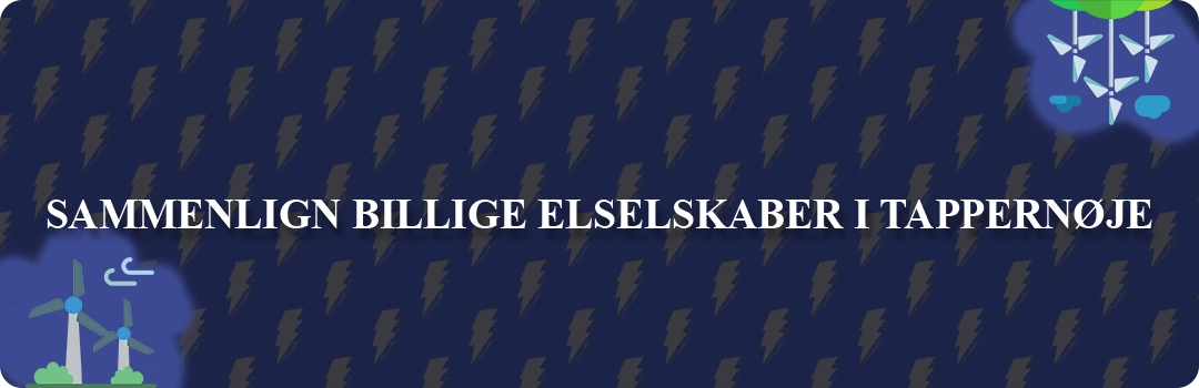 Sammenligning af top 5 billigste elselskaber i Tappernøje