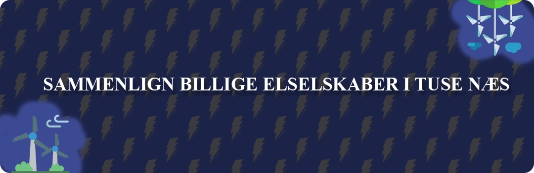 Sammenligning af top 5 billigste elselskaber i Tuse Næs